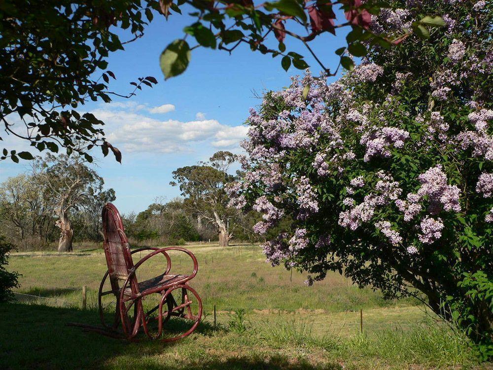 Redcliffe House Colonial Bed & Breakfast Swansea Eksteriør bilde